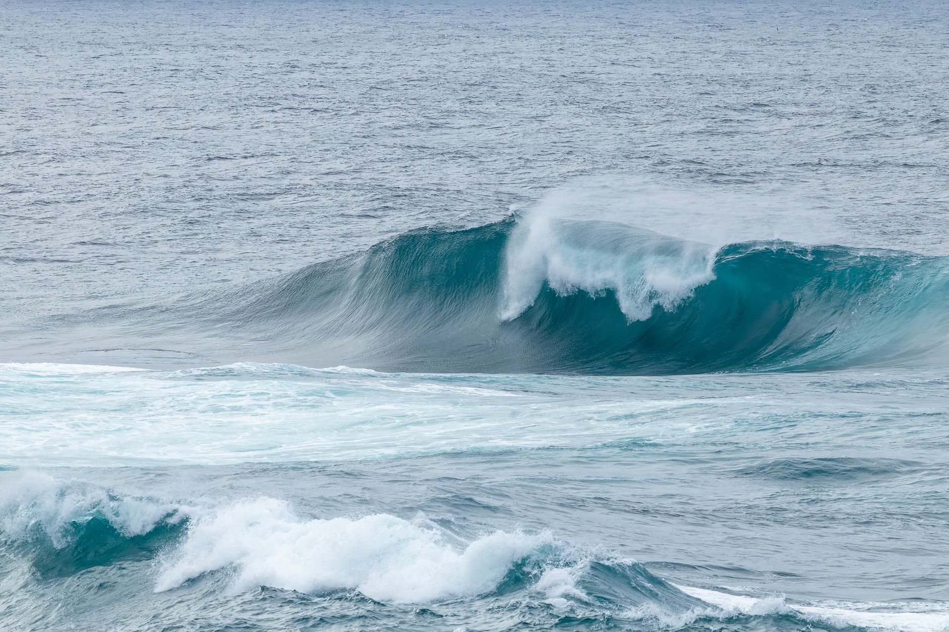 Eastern Swell Dynamics