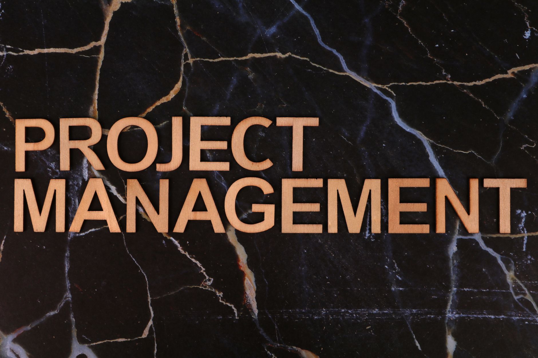 CleanMax projects leadership